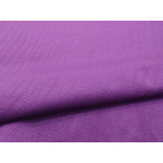 Детский диван-кровать Рико Черный\Фиолетовый